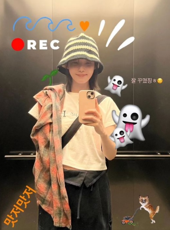 오프더데이지 이미지